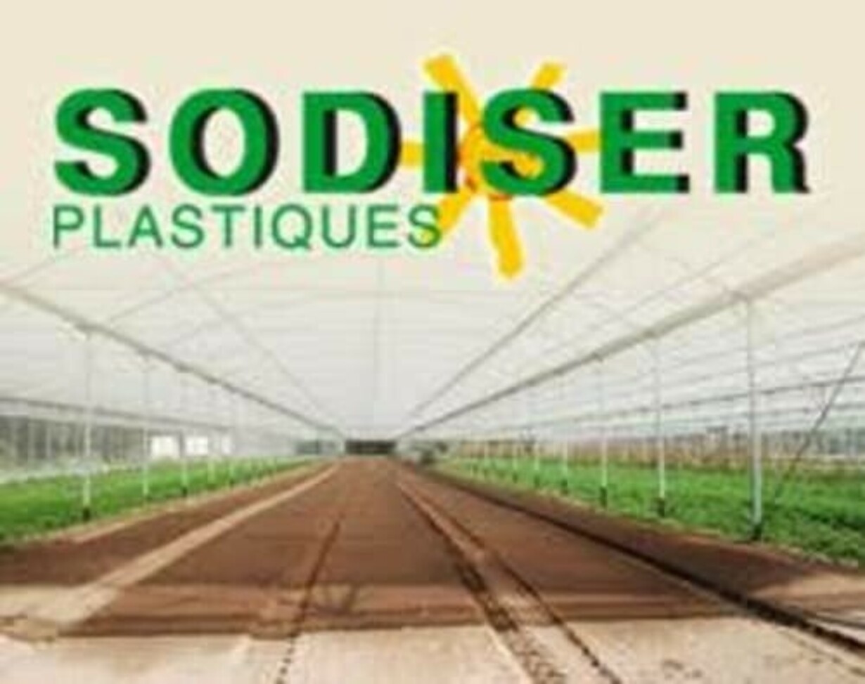 Sodiser